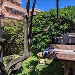 Carlini