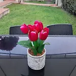 Carlini Vakantiehuis *